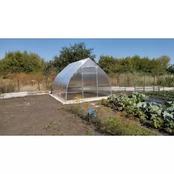 Отзыв от Елена, 01.09.2025 о Теплица Стрелецкая Люкс 3м 