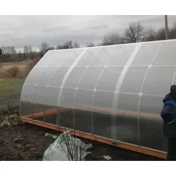 Отзыв от Анатолий Снегирёв, 10.03.2026 о Теплица Стрелецкая Люкс 3м 